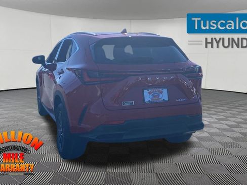 Used 2024 Lexus NX 250 FWD image 6