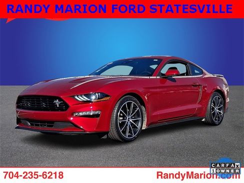 Used 2023 Ford Mustang Premium w/ Equipment Group 201A image 1