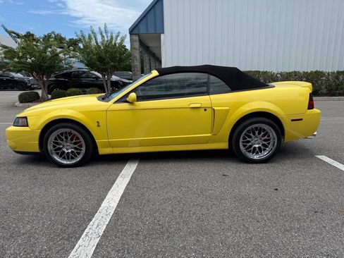 Used 2003 Ford Mustang Cobra RWD image 4