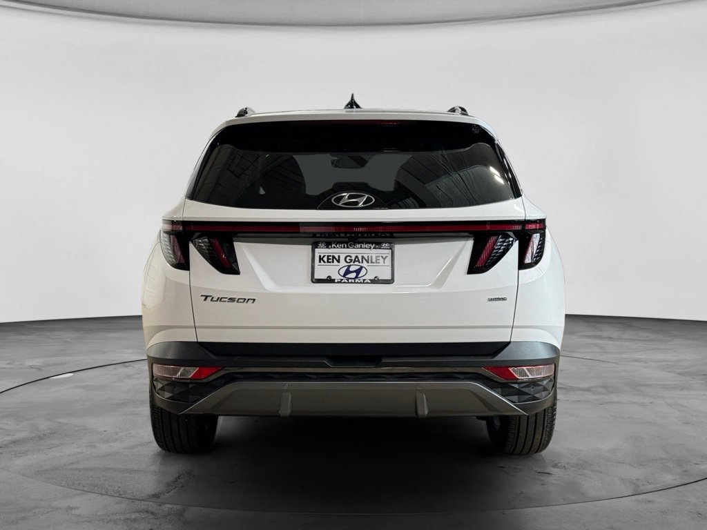 Used 2024 Hyundai Tucson Limited AWD/4WD image 6
