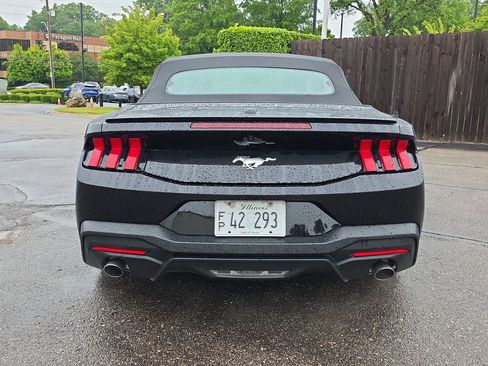 Used 2025 Ford Mustang Premium RWD image 4