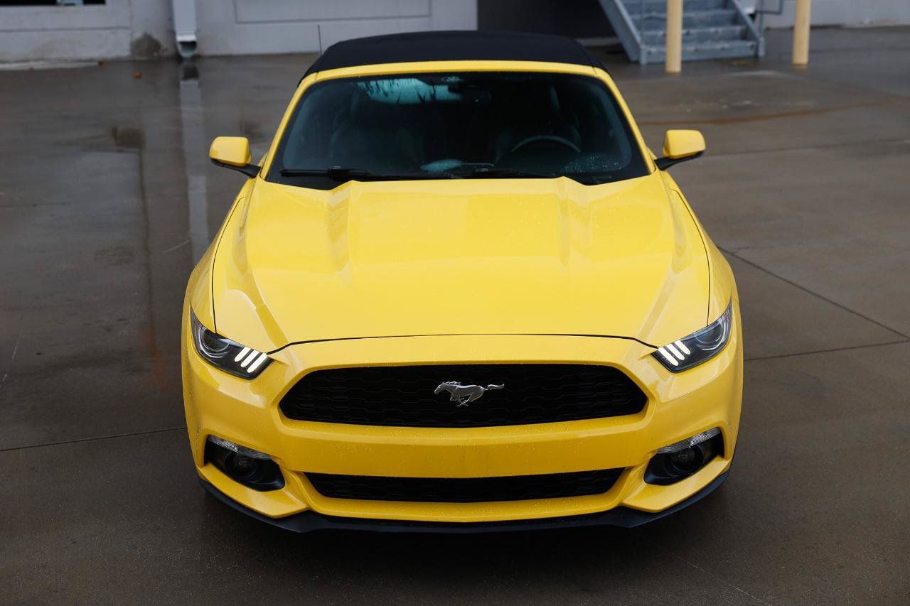 Used 2015 Ford Mustang Premium RWD image 19