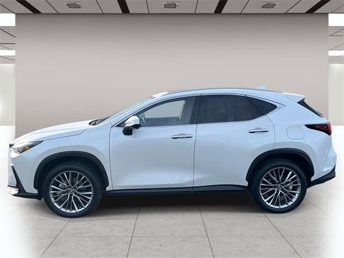 Used 2025 Lexus NX 350h AWD w/ Accessory Package (2T) image 7