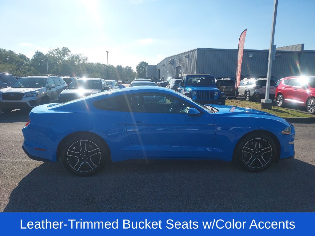 Used 2023 Ford Mustang Premium w/ Equipment Group 201A RWD image 8