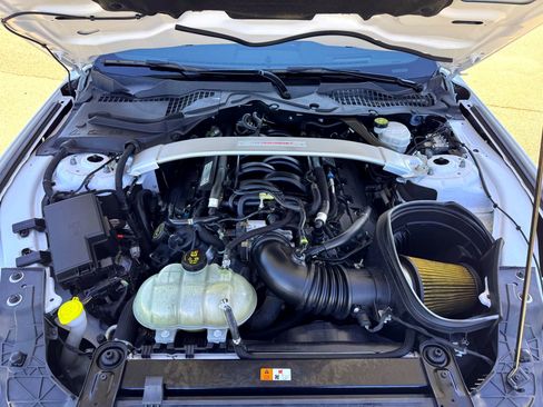 Used 2018 Ford Mustang Shelby GT350 w/ Convenience Package image 13