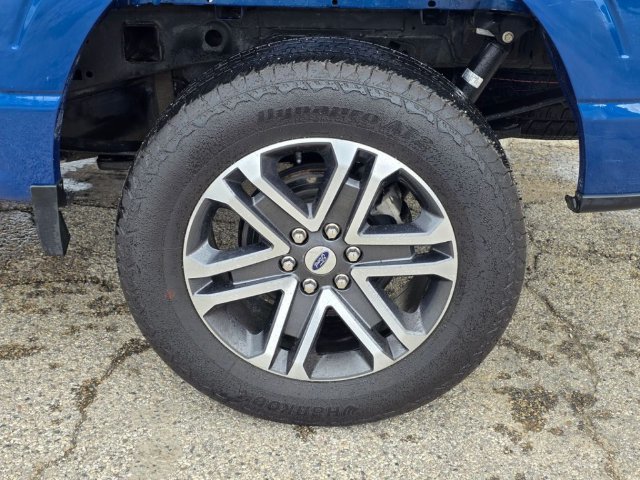 Used 2023 Ford F150 XLT w/ Equipment Group 301A Mid AWD/4WD image 14
