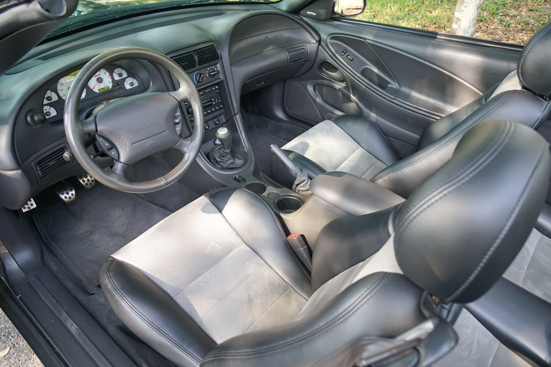 Used 2003 Ford Mustang Cobra RWD image 3