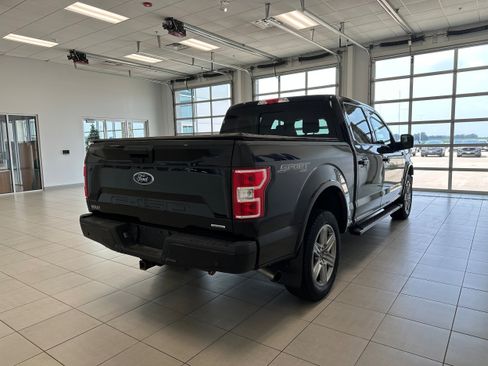 Used 2019 Ford F150 XLT w/ Equipment Group 302A Luxury AWD/4WD image 5
