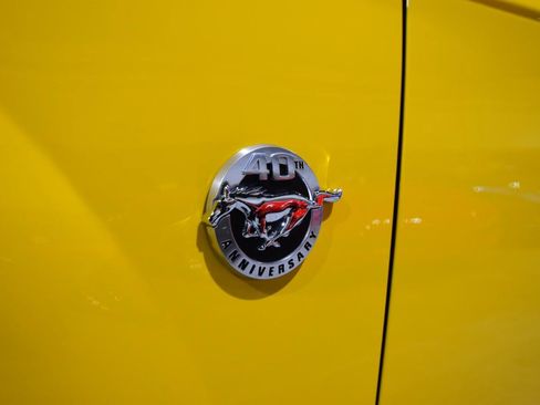 Used 2004 Ford Mustang Mach 1 RWD image 9