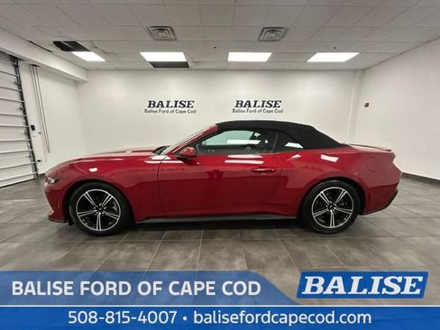 Used 2024 Ford Mustang Premium RWD image 4