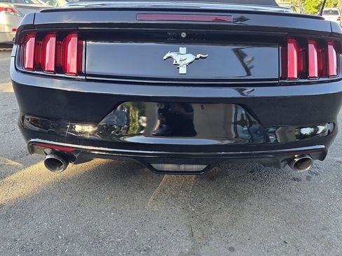 Used 2015 Ford Mustang Convertible w/ Equipment Group 051A RWD image 4