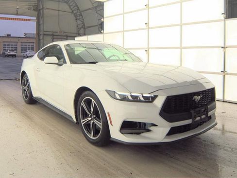 Used 2024 Ford Mustang Premium image 4