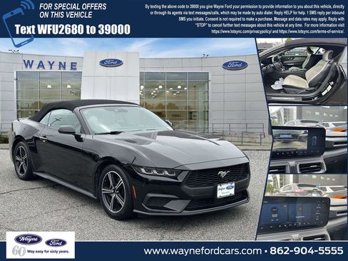 Used 2024 Ford Mustang Premium RWD image 1