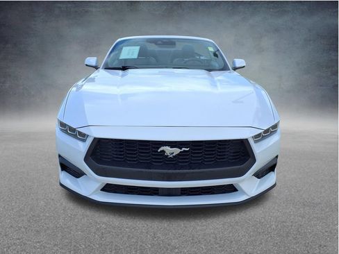 Used 2024 Ford Mustang Premium RWD image 5