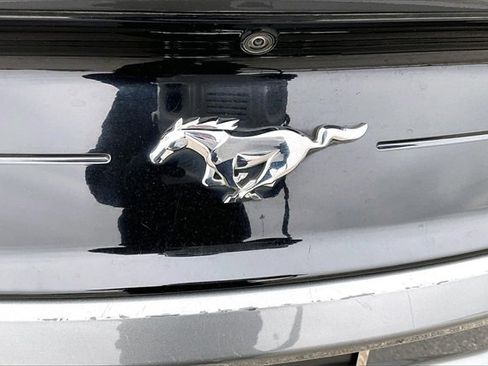 Used 2023 Ford Mustang Premium w/ Equipment Group 201A image 31