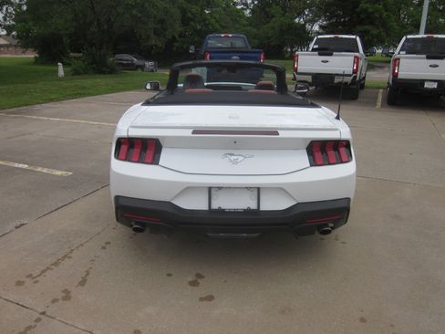 Used 2024 Ford Mustang Premium RWD image 5