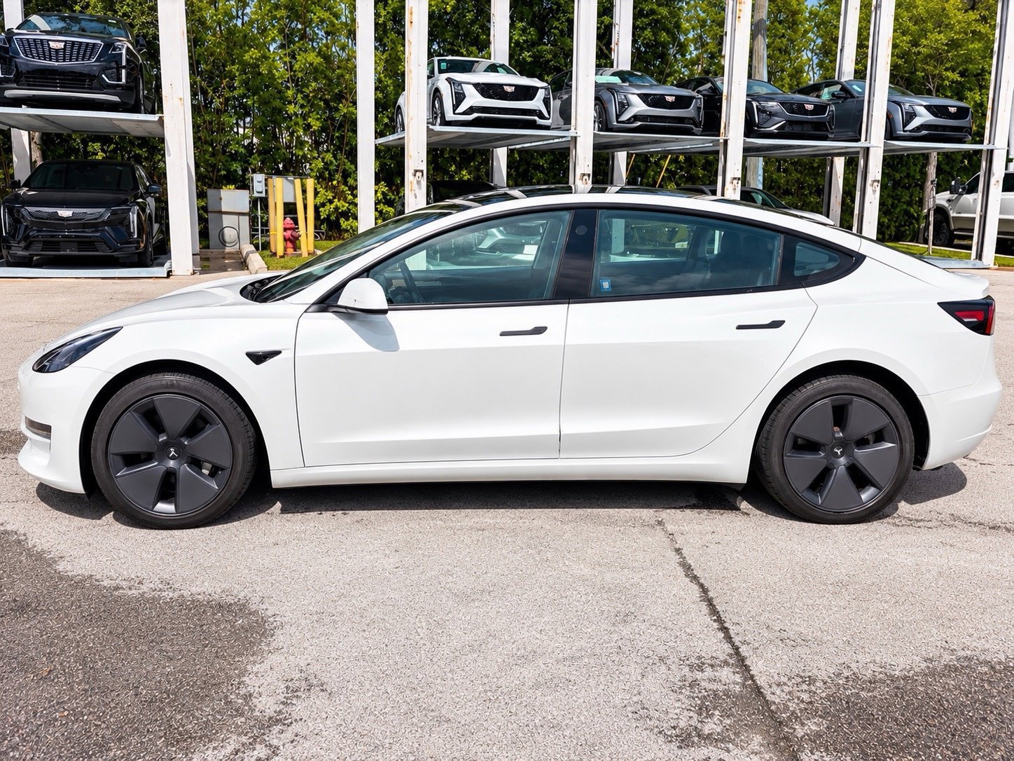 Used 2023 Tesla Model 3 Standard Range RWD image 2