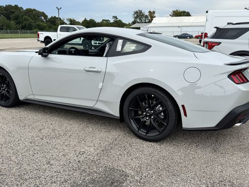 New 2026 Ford Mustang Coupe w/ Mustang Nite Pony Package RWD image 3