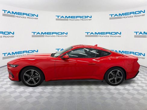 Used 2024 Ford Mustang Premium image 2