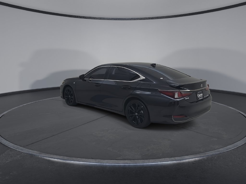 Used 2022 Lexus ES 250 F Sport w/ Accessory Package 2 AWD/4WD image 14