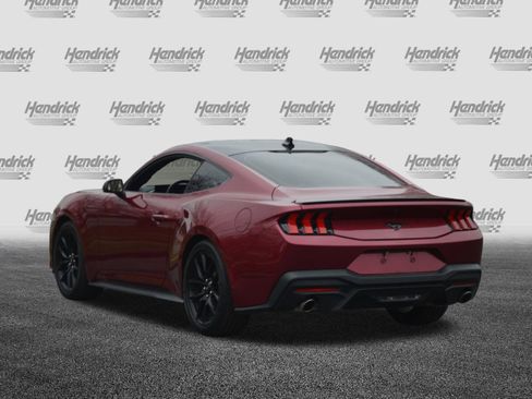 Used 2025 Ford Mustang Coupe w/ Mustang Nite Pony Package image 9