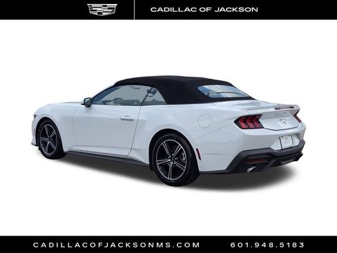 Used 2024 Ford Mustang Premium RWD image 7