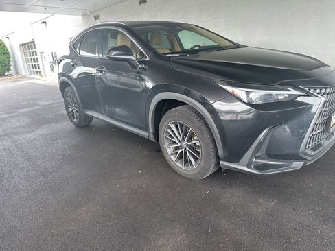 Used 2025 Lexus NX 350 AWD w/ Cold Area Package image 5