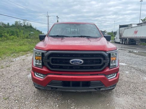 Used 2023 Ford F150 XLT w/ Equipment Group 302A High AWD/4WD image 2