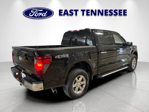 Used 2025 Ford F150 XLT w/ Equipment Group 301A Standard AWD/4WD image 3
