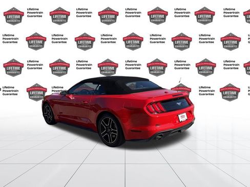Used 2020 Ford Mustang Premium image 3