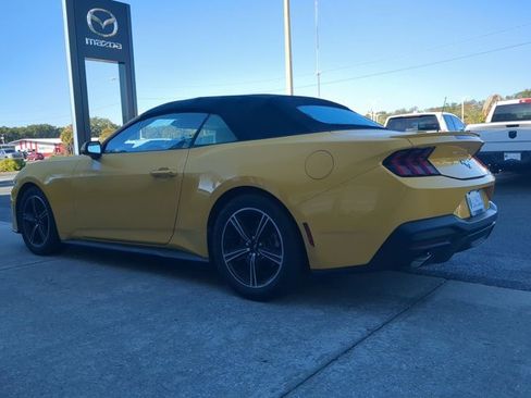 Used 2024 Ford Mustang Premium image 5