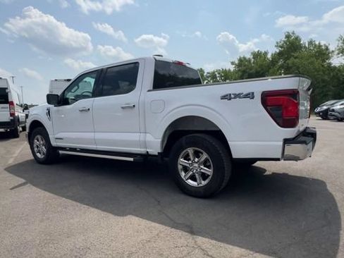 Used 2025 Ford F150 XLT w/ Equipment Group 301A Standard AWD/4WD image 6