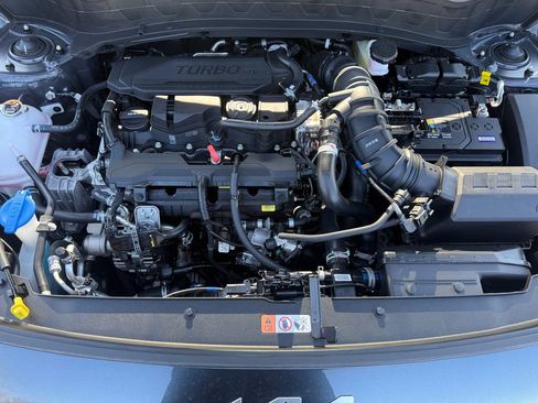 New 2026 Kia Seltos SX w/ SX Sunroof Package image 23