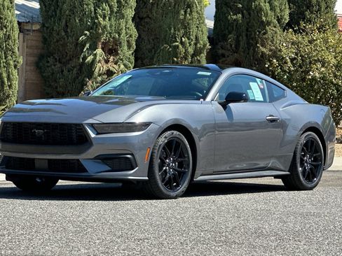 New 2026 Ford Mustang Coupe w/ Mustang Nite Pony Package RWD image 8