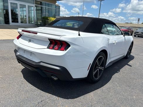 Used 2025 Ford Mustang Premium RWD image 5