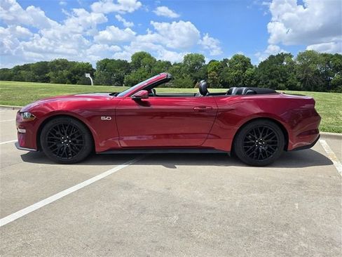Used 2019 Ford Mustang GT Premium w/ GT Performance Package RWD image 24