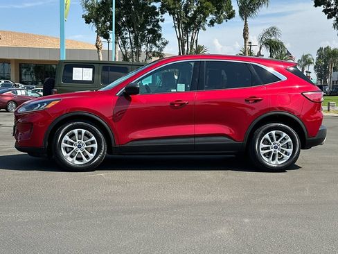 Used 2022 Ford Escape SE w/ Convenience Package FWD image 6