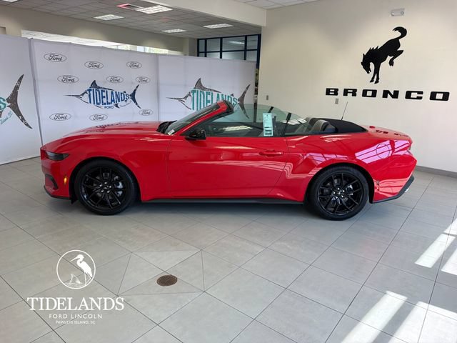 New 2026 Ford Mustang Premium w/ Mustang Nite Pony Package RWD image 5