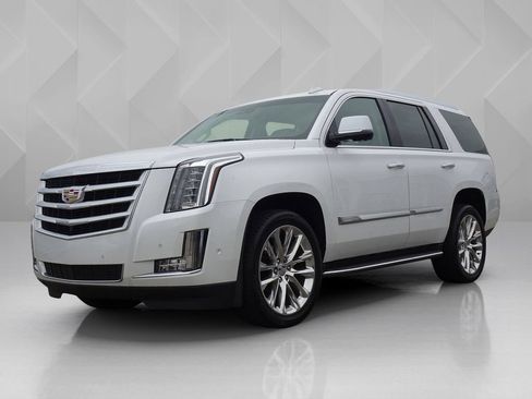 Used 2019 Cadillac Escalade Luxury AWD/4WD image 1