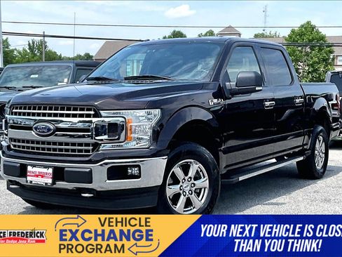 Used 2018 Ford F150 XLT w/ Equipment Group 302A Luxury AWD/4WD image 3
