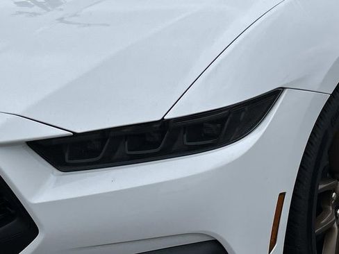 New 2026 Ford Mustang EcoBoost w/ Bronze Appearance Package image 9