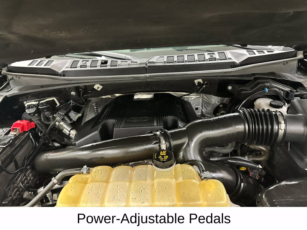 Used 2019 Ford F150 XLT w/ Equipment Group 302A Luxury AWD/4WD image 21