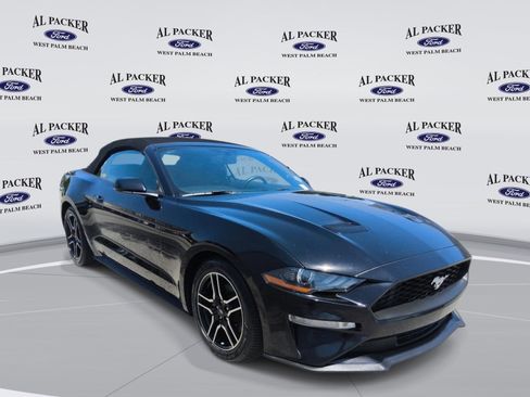 Used 2019 Ford Mustang Premium RWD image 7