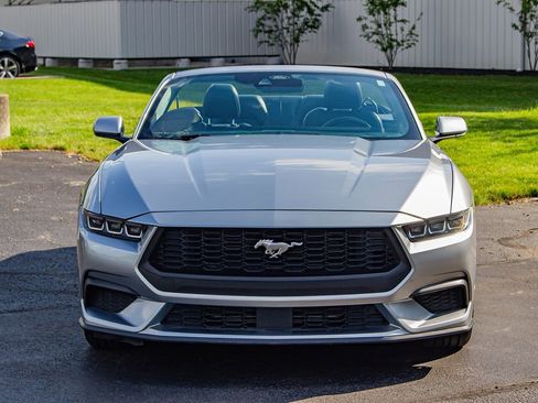 Used 2024 Ford Mustang Premium RWD image 2