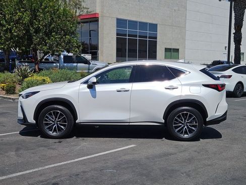 Used 2024 Lexus NX 350h AWD image 8