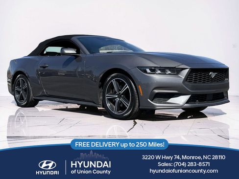 Used 2024 Ford Mustang Premium RWD image 1