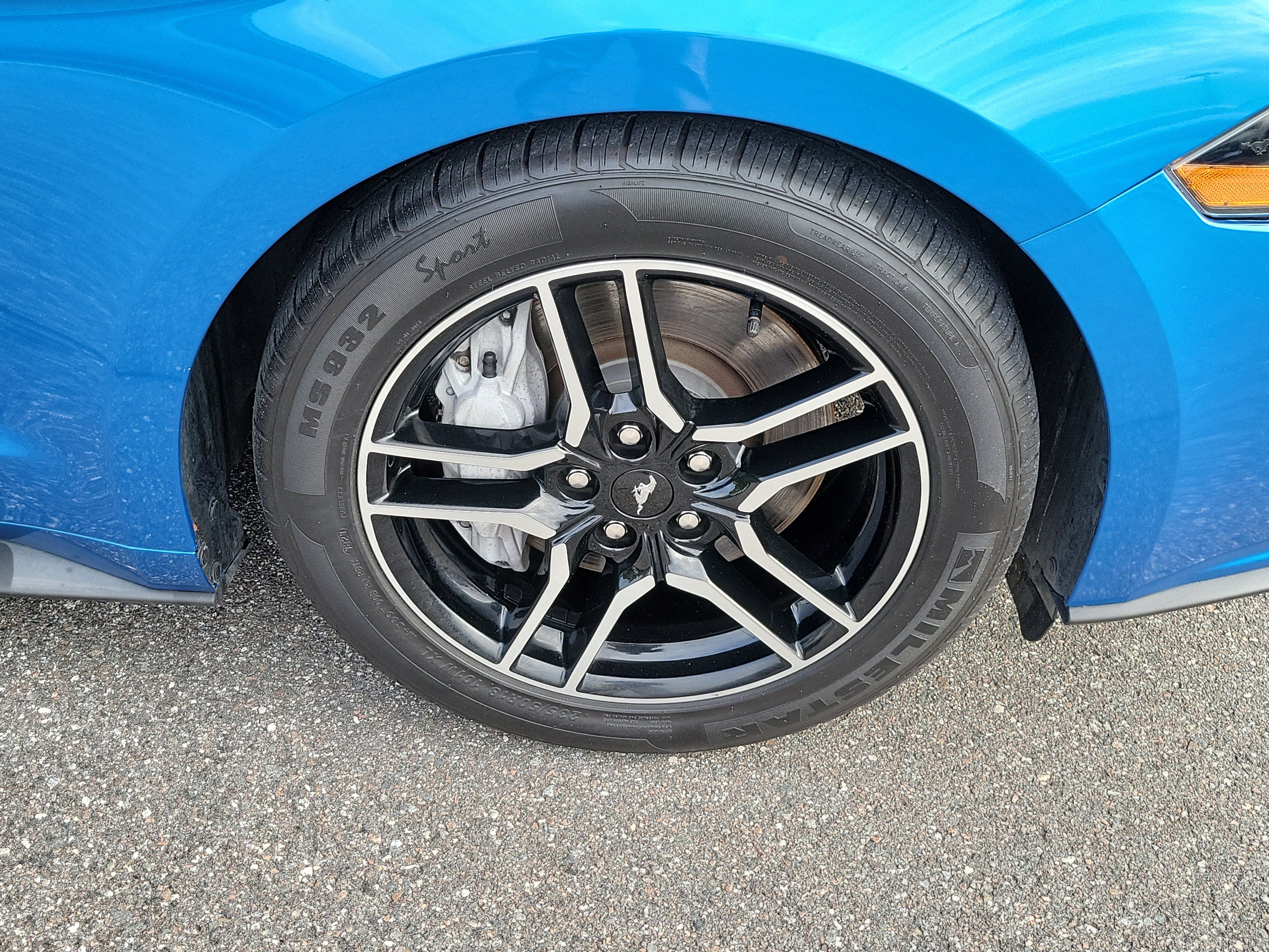 Used 2019 Ford Mustang GT Premium RWD image 32