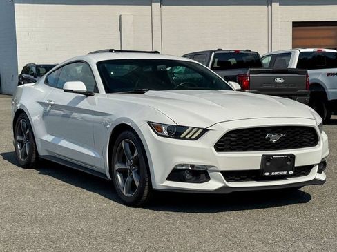 Used 2016 Ford Mustang Premium w/ Equipment Group 201A RWD image 1
