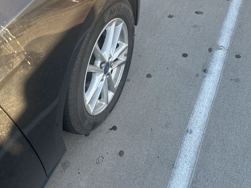 Used 2016 Ford Focus SE image 14