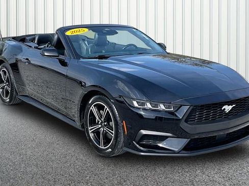 Used 2025 Ford Mustang Premium image 1